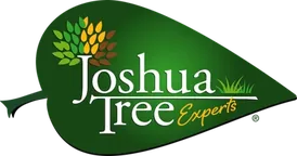 Joshua Tree Experts