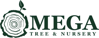 Omega Tree & Nursery